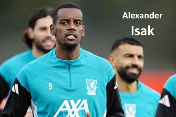 Alexander Isak Biography